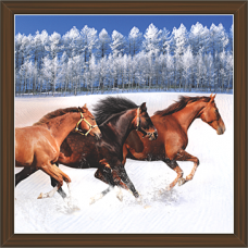 Horse Paintings (HS-3402)